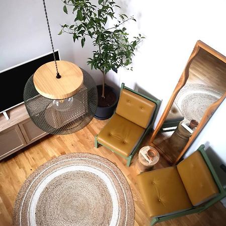 Codicei Studio Brasov Luaran gambar