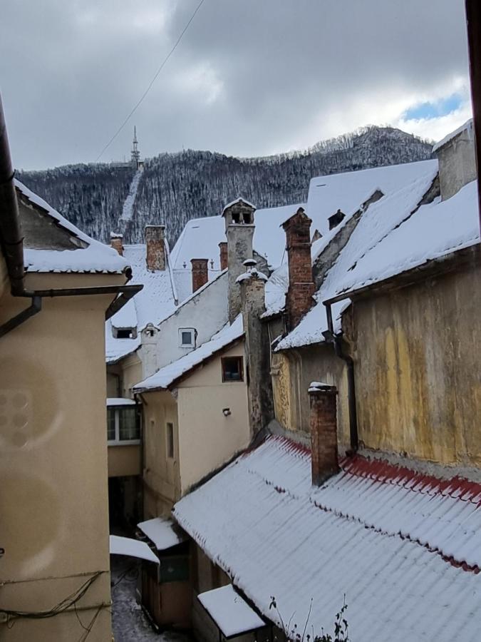 Codicei Studio Brasov Luaran gambar